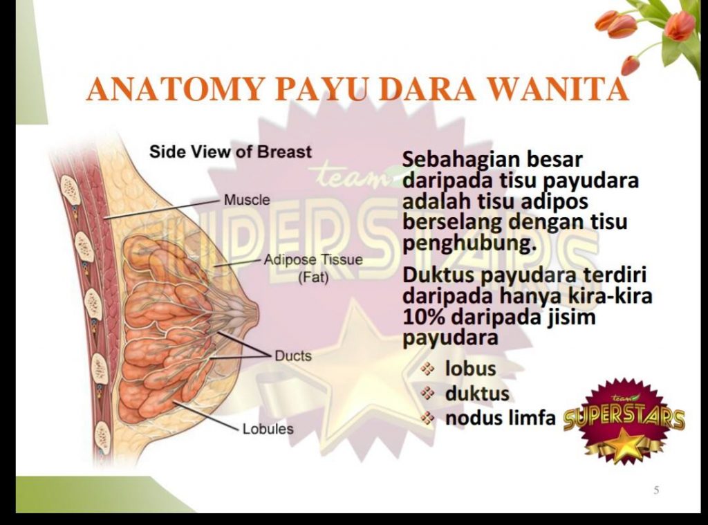 VIVIX PENAWAR DAN RAWATAN KANSER | Pengedar Shaklee | Stokis Shaklee